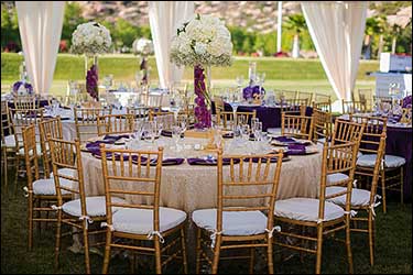 White Louis Chair - Clear Back  Vision Furniture Event Rentals